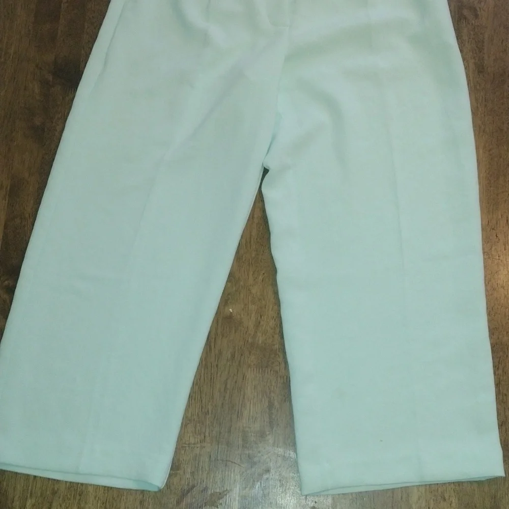 Wilfred Arizona Mint Green Ankle High Waisted Wide Leg Pleated Pant 8